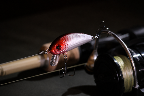 Crankbait