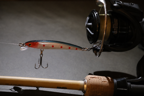 Stick Baits