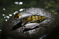 LureLab Starter Pack – All Three Lures